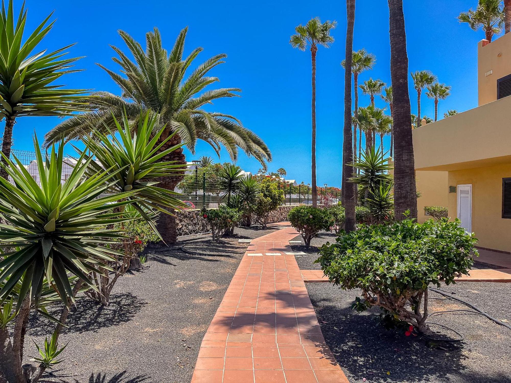 Apartamentos Oasis Royal Corralejo F314 Zewnętrze zdjęcie