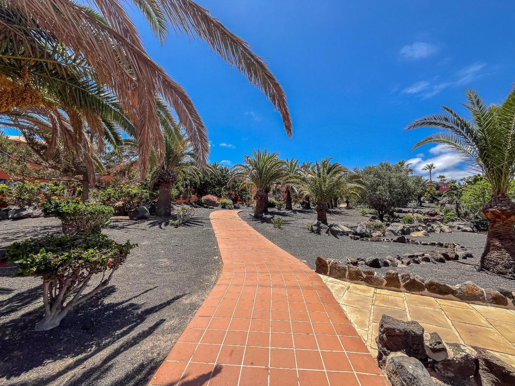 Apartamentos Oasis Royal Corralejo F314 Zewnętrze zdjęcie