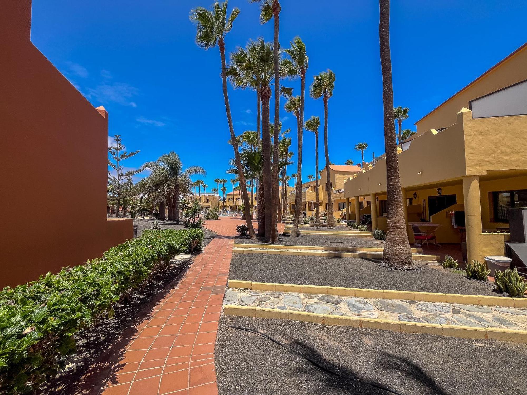 Apartamentos Oasis Royal Corralejo F314 Zewnętrze zdjęcie