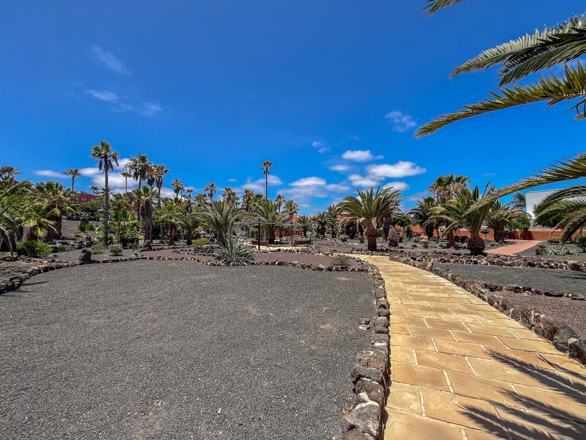Apartamentos Oasis Royal Corralejo F314 Zewnętrze zdjęcie