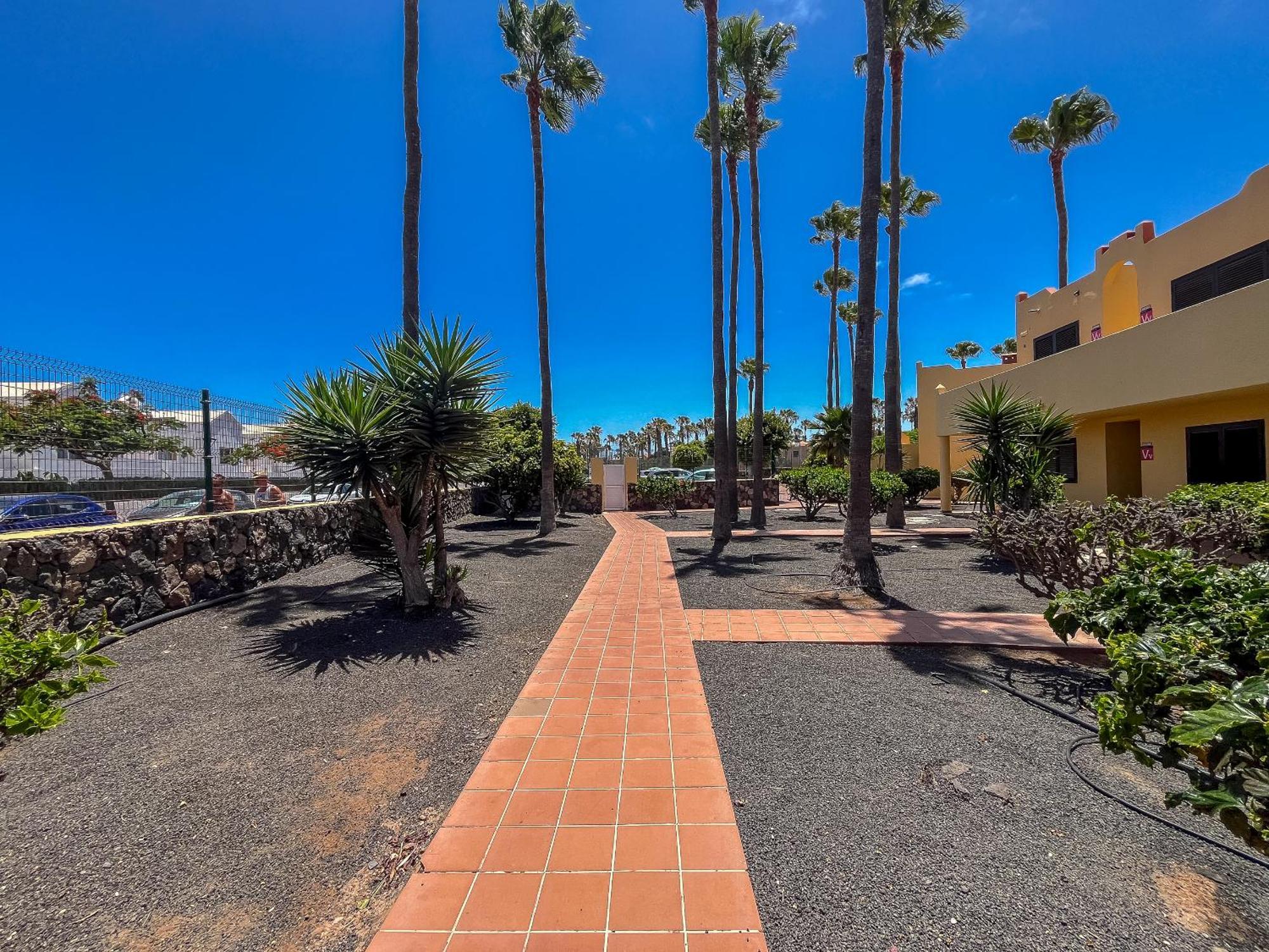 Apartamentos Oasis Royal Corralejo F314 Zewnętrze zdjęcie